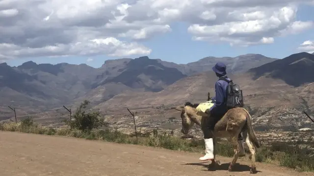 Maeneo ya nyanda zaa juu ya Lesotho yana udongo wenye rutuba unaofaa kwa kilimo cha bangi