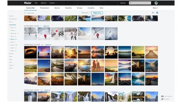 Yahoo'nun websiteleri arasında fotoğraf paylaşım sitesi Flickr da bulunuyor.