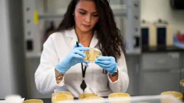 Cientista trabalhandojogos para apostar e ganhar dinheiroum laboratório