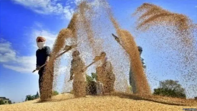 ખેતરમાં કામ કરતાં ખેડૂતો