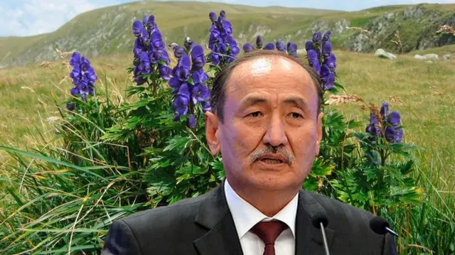 Алымкадыр Бейшеналиев