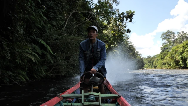 Yie, pemburu harimau dari tahun 2001 hingga 2017.
