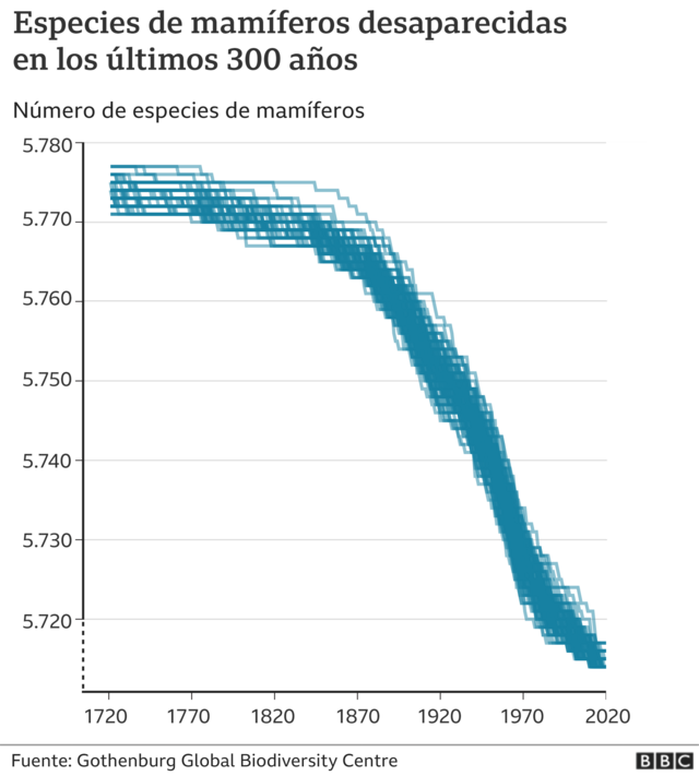 gráfico del reino animal humanos