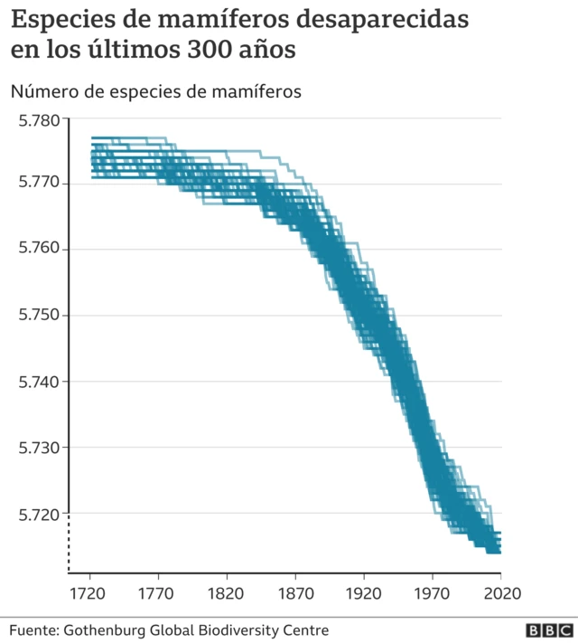 Especies de mamíferos desaparecidas: gráfico.