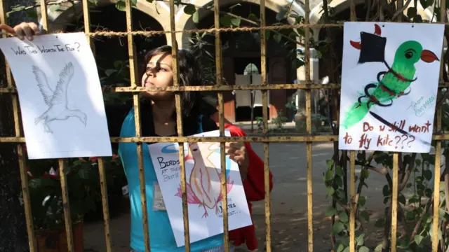 પક્ષીઓ બચાવવા માટે પૉસ્ટર લગાવતી એક યુવતી