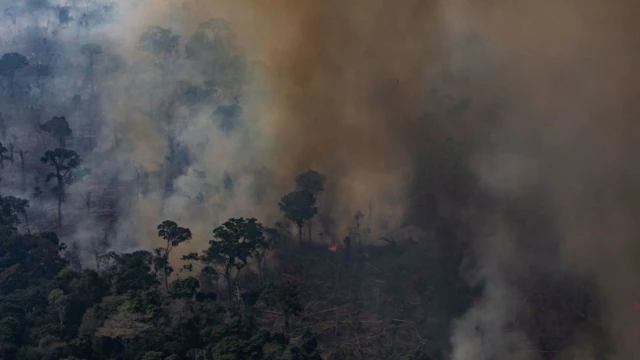 Forest fire in the Amazon
