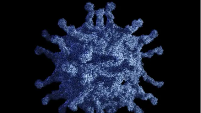 Poliovirus