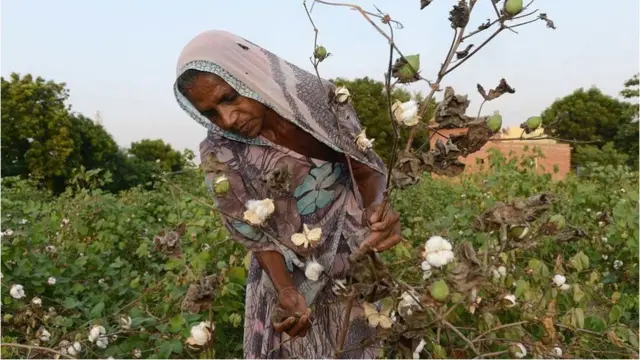 પ્રતીકાત્મક તસવીર