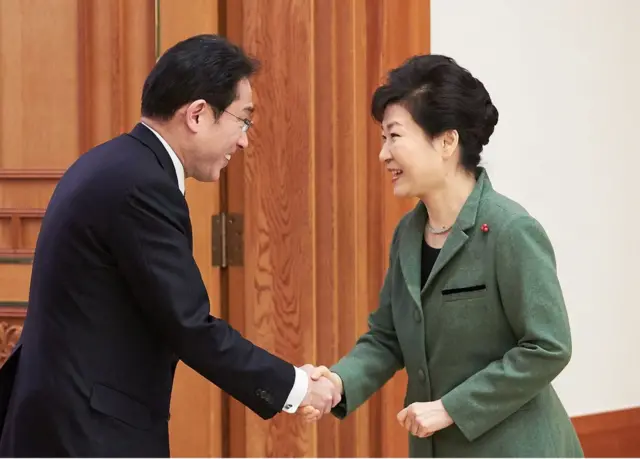 2015年12月28日接见日本时任外相岸田文雄