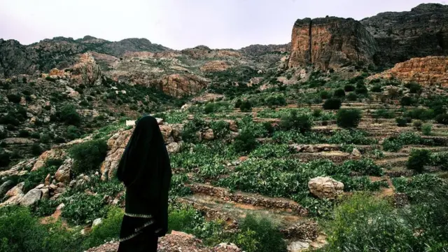 （圖片來源：Zakaria Aït Wakrim）