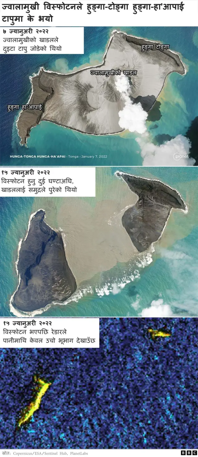 टोङ्गा ज्वालामुखी र सुनामीको प्रभाव