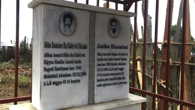 Siidaa dargaggoo Shaambal Damissee fi Abbaa isaa Obbo Damissee Habtagabri'eel Dhiinsaa