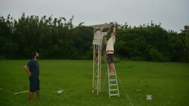 Pesquisadores montam ninho artificial para teste