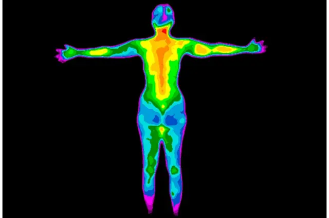 మానవ శరీరం