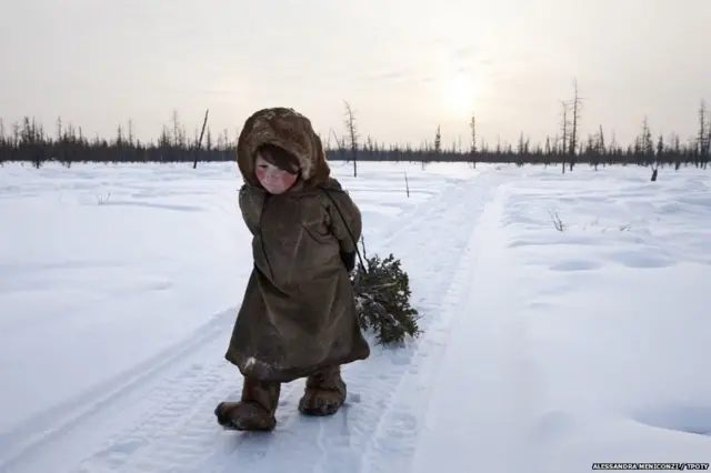 ALESSANDRA MENICONZI / TPOTY