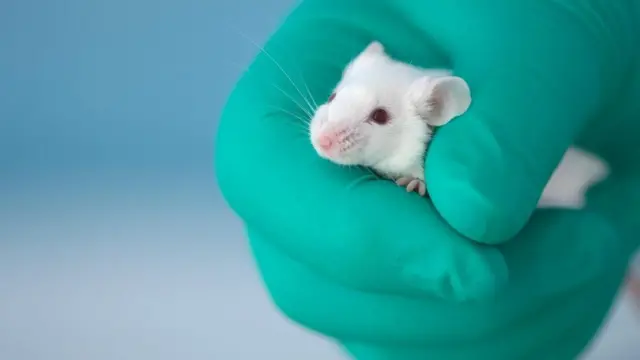 كيف تؤثر البكتيريا الموجودة بداخلك على صحتك العقلية؟