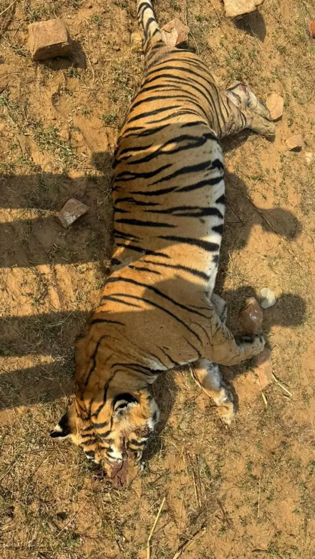 रणथंभौर टाइगर रिज़र्व.