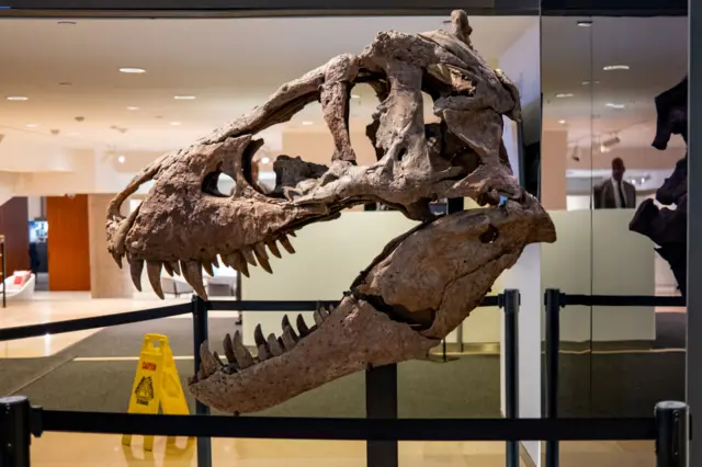 டைனோசர்கள்