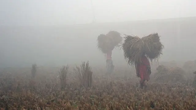 पर्सामा खेतमा काम गर्दै किसानहरू 