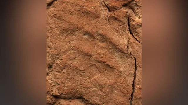 Otkriće kompletnog otiska ruke je veoma retko, prema rečima istraživača