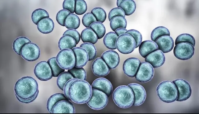 Wannan cuta ce da ƙwayar cutar 'Neisseria gonorrhoeae' ke haifarwa