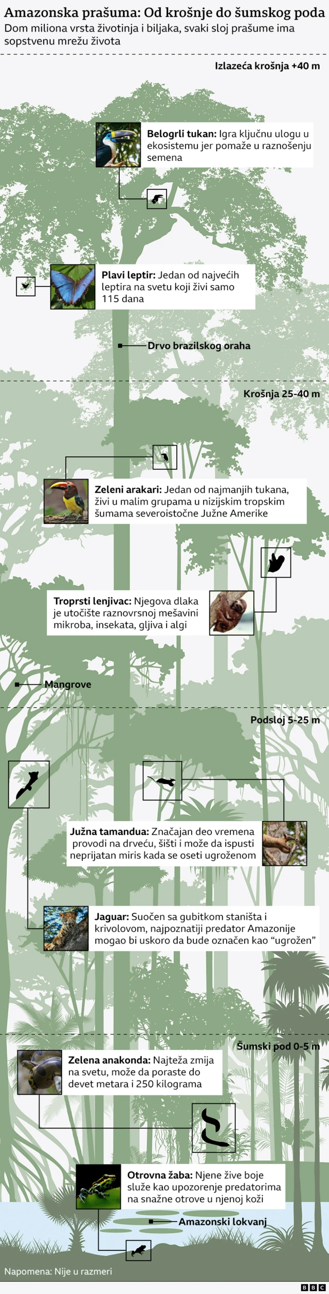 графички приказ биодиверзитета