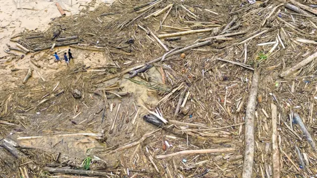 Sampah kayu gelondongan itu menumpuk di sepanjang pantai Padang pasca banjir bandang beberapa hari terakhir.