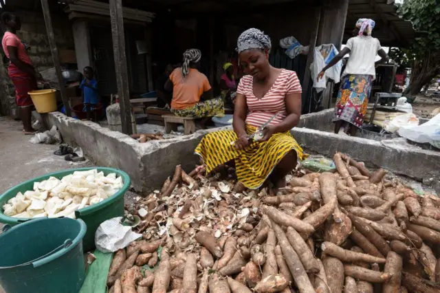 Des femmes dcoupent les tiges de manioc qui serviront  la prparation de l'attik