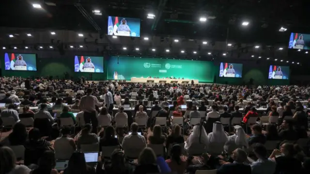cop 28