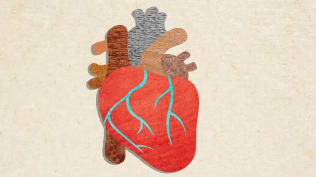 கால்சியம் ஸ்கோரிங், 15 நிமிட பரிசோதனை, இதய நோய்
