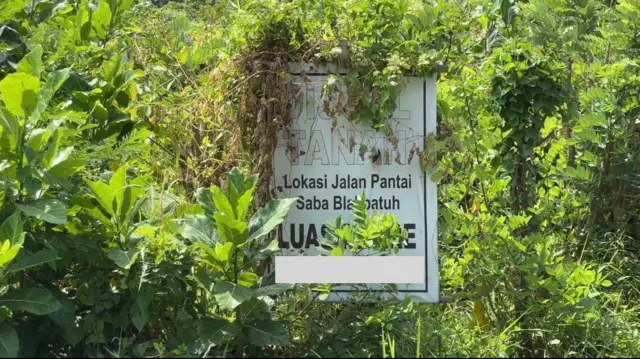 Iklan tanah dijual di sebuah jalan di Bali tertutup tanaman di sekitarnya. 