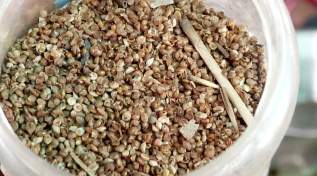 લુપ્ત થઈ રહેલા જાડા ધાન 