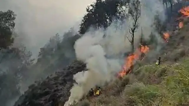 Kobaran api masih menyala di kawasan Bromo hingga Selasa (12/09).