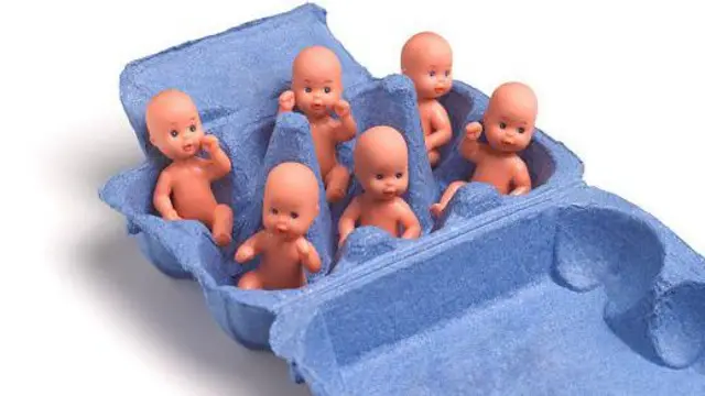 ਸ਼ੁਕਰਾਣੂ