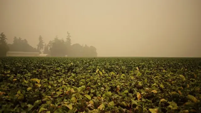 Chaque année plusieurs milliers de personnes décèdent à cause de la pollution