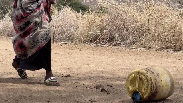 Akkuma lafti godgeen qorichi dhabamu eegale