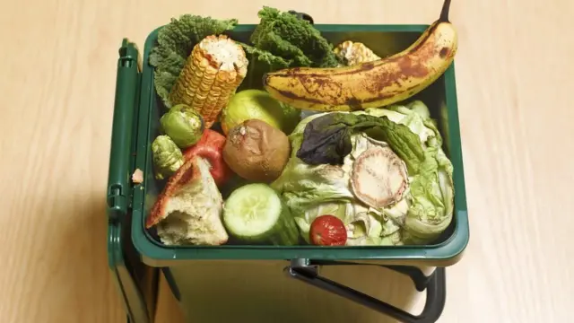 వృథా అయిన పళ్లు , కూరగాయలు