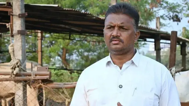 બીબીસી ગુજરાતી, ગુજરાત, બ્રાઝિલ, બીબીસી, ગાય, 41 કરોડ રૂ.