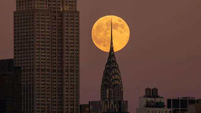 برای تماشای این رویداد، بهترین زمان، اندکی پس از غروب خورشید است.
ابرماه «سگ آبی»‌ نوامبرامسال در نیویورک