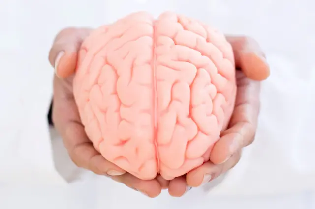 मेंदूतला 'केमिकल लोचा' शुभा टोळे यांना कसा उलगडता आला?