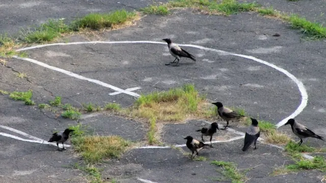 "Геометрия"