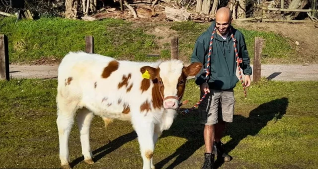 નવું ગોકુલ ફાર્મ