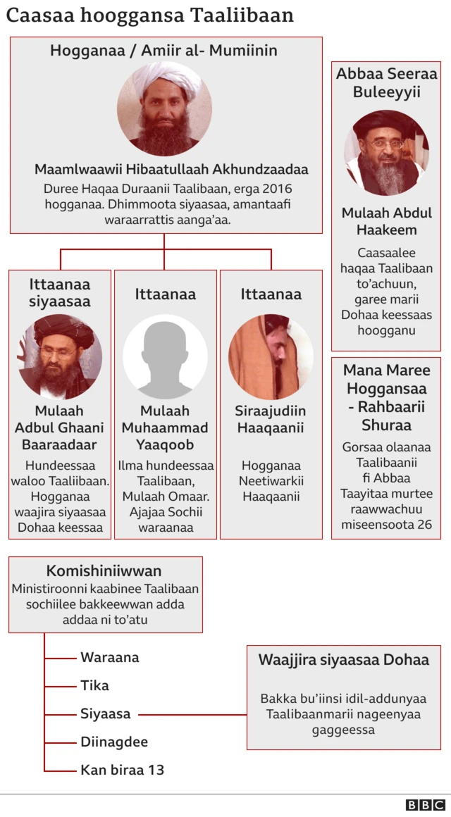 Caalaa hoggansa Taaliibaan