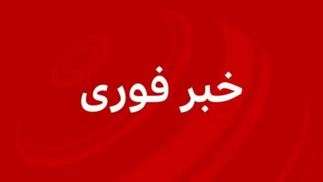 خبر فوری
