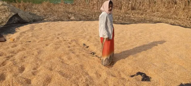 రైతుల కష్టాలు