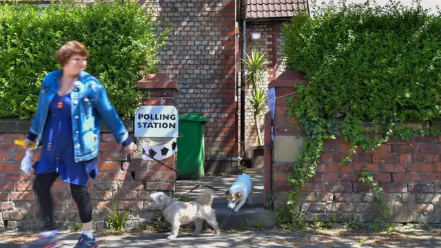 Oyunu kullanan bir seçmen