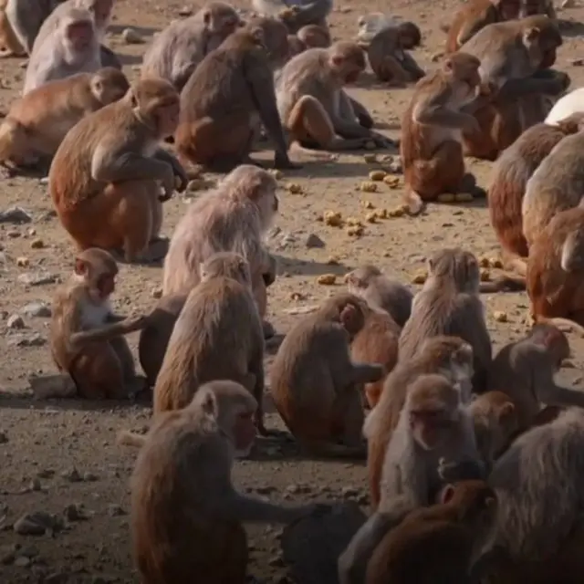 Yosh aktrisalar foto xxx