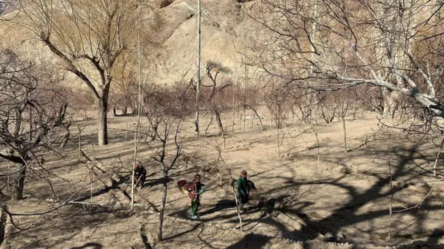 బీబీసీ ఉమెన్ ఆఫ్ ది ఇయర్