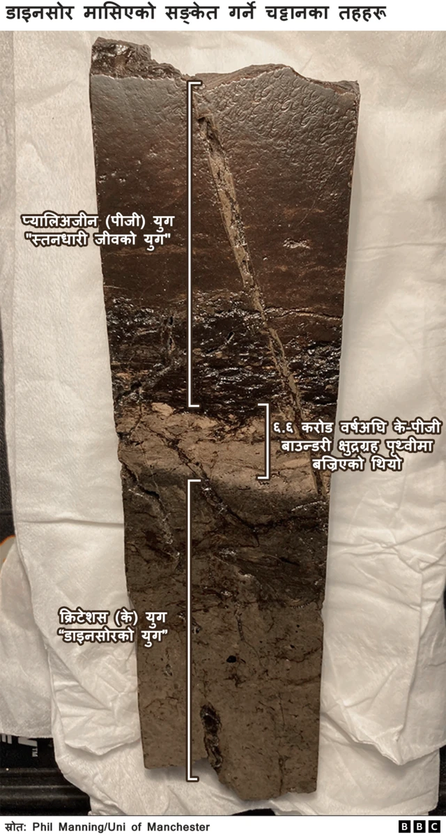 डाइनोसरको अवस्था देखाउने ग्राफिक्स