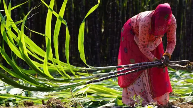 ऊसतोड कामगार महिला